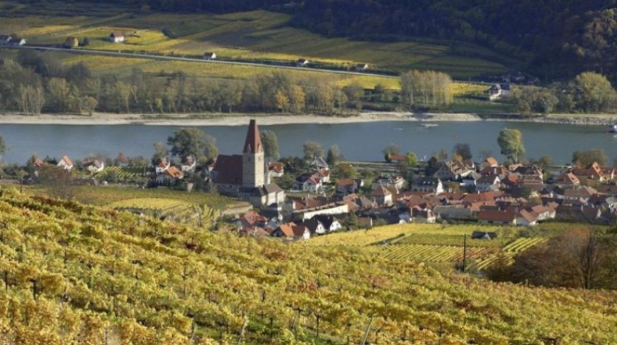 Weissenkirchen im Herbst bezaubert mit strahlenden Farben und einem einzigartigen Landschaftsbild. 