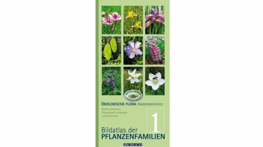 Die Buchreihe zum Bestimmen heimischer Pflanzen besteht aus 4 Bänden.