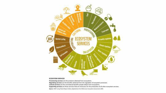 wn_ecosystem_services_chart_a_800_16x9