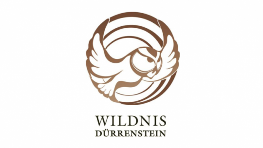 Logo Wildnis Dürrenstein
