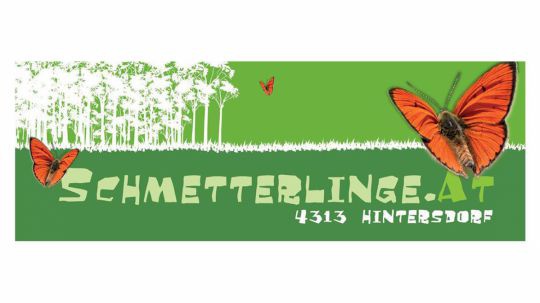 Logo Schmetterlinge.at