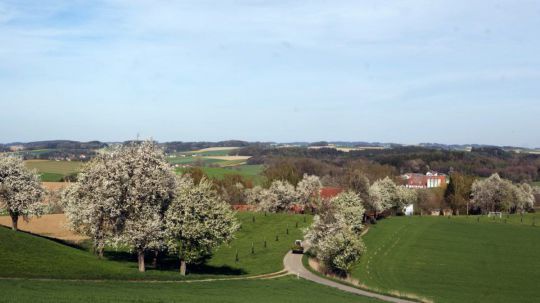 Landwirtschaftlich geprägte Landschaft mit blühenden Obstbäumen, Dorf mit Kirche, blauer Himmel