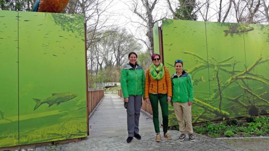 3 Personen stehen vor einem grünen Transparent