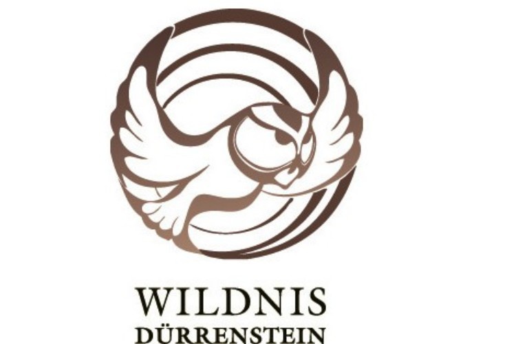duerrenstein_web