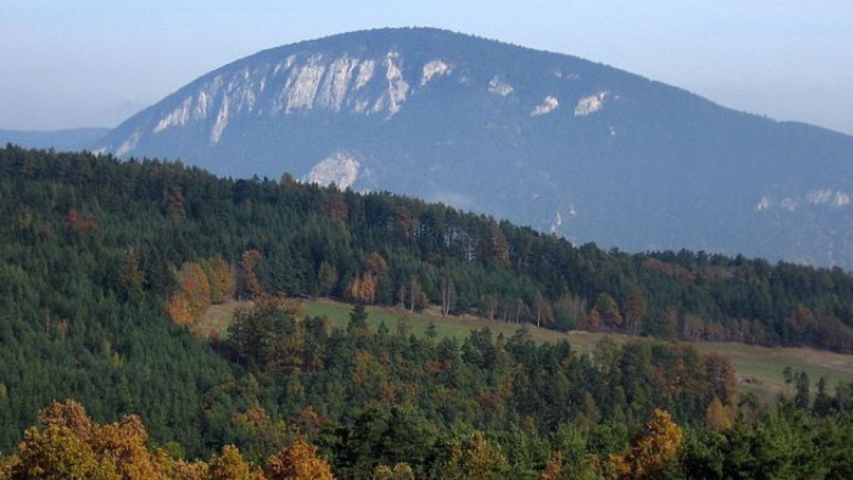 goesingberg