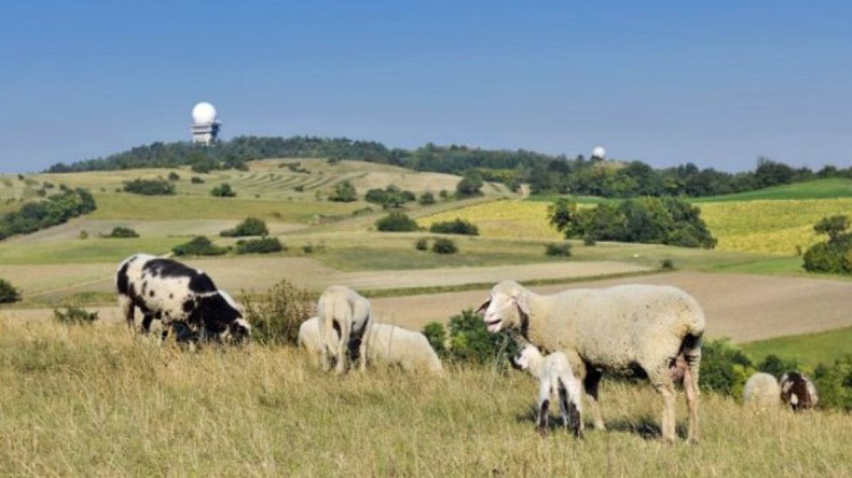 leiser_berge