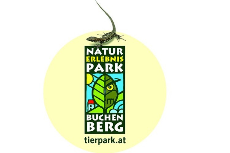 logo_buchenberg-web5