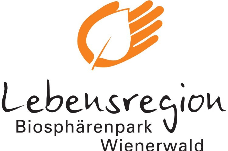 logo_druckfertig_orang2