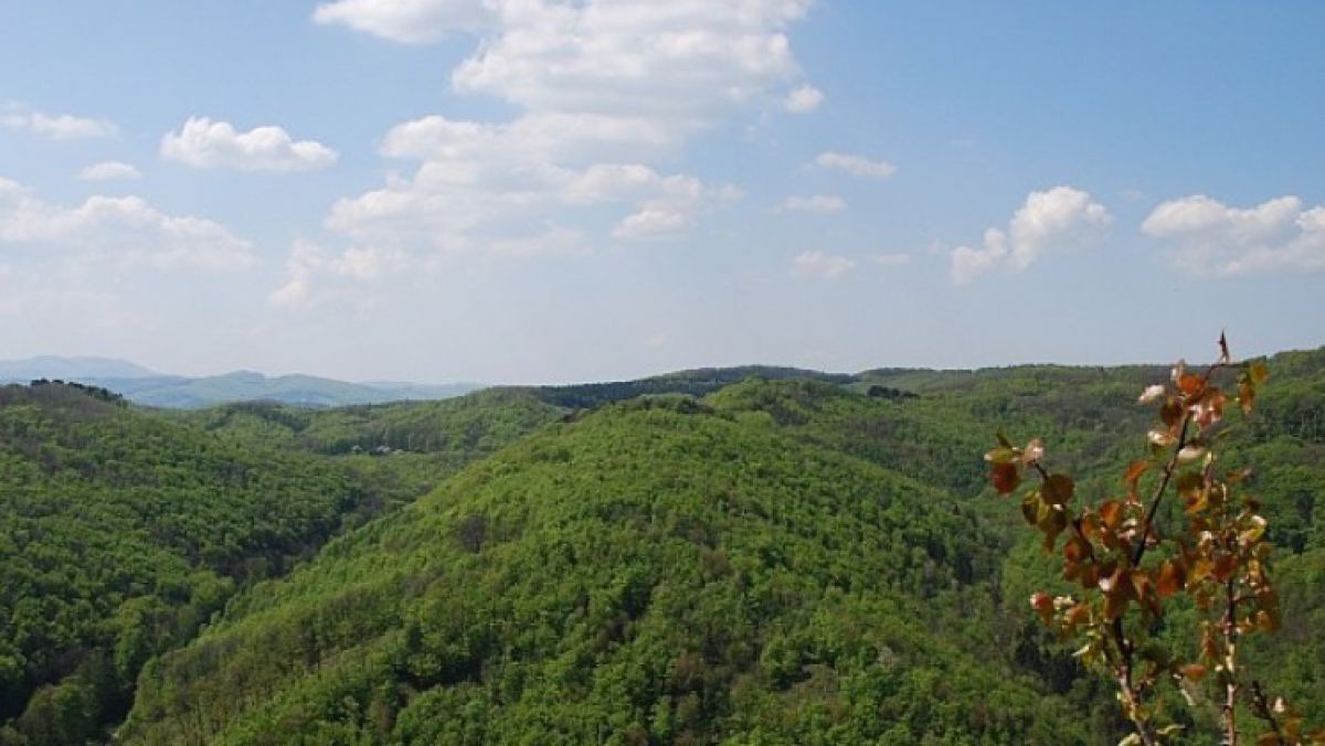 wienerwald34