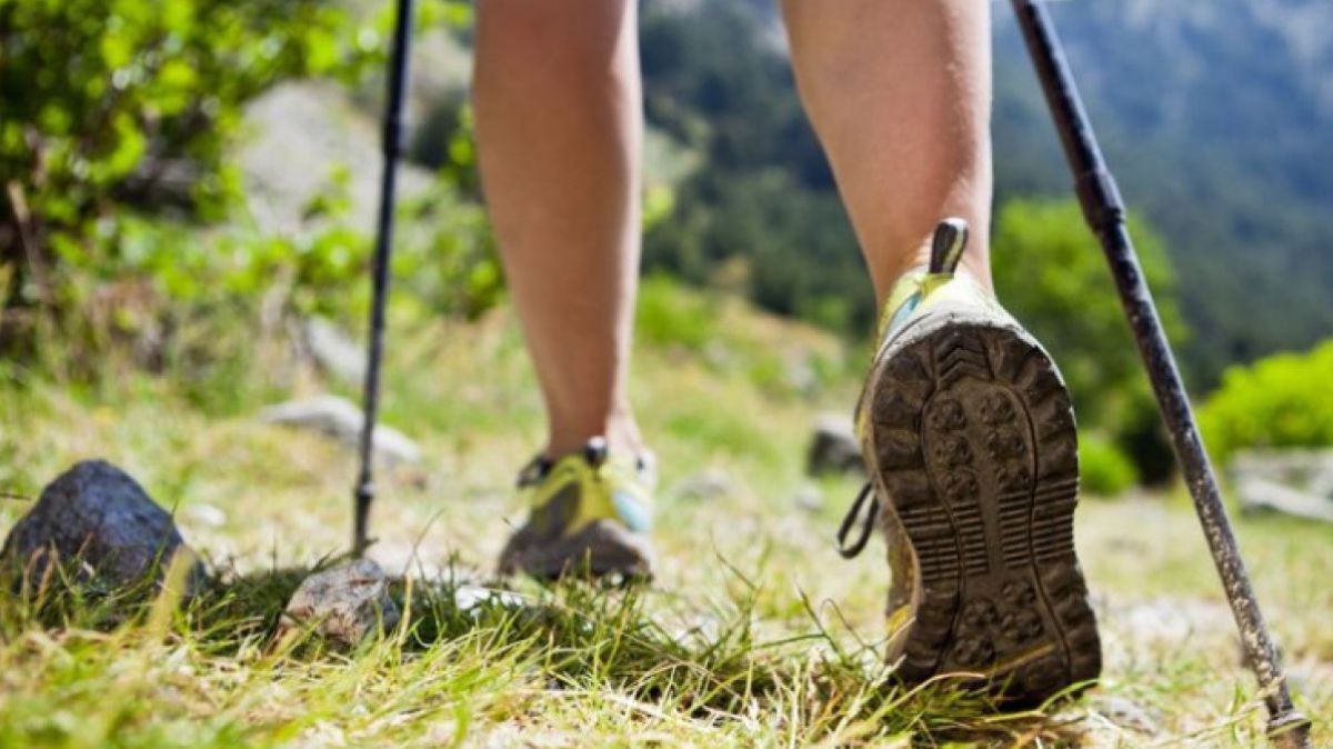 Fotolia_42630255_S-wandern