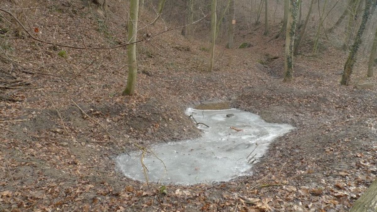 Pielach-Steinwand_ErhardKraus.JPG