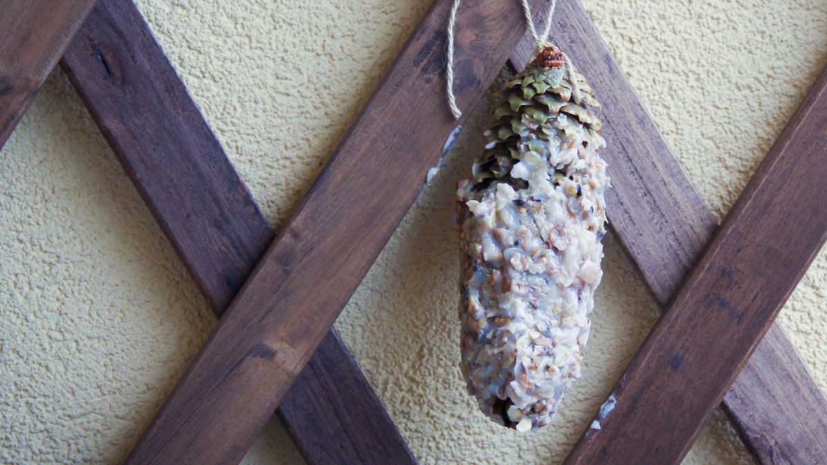 Vogelfutterzapfen