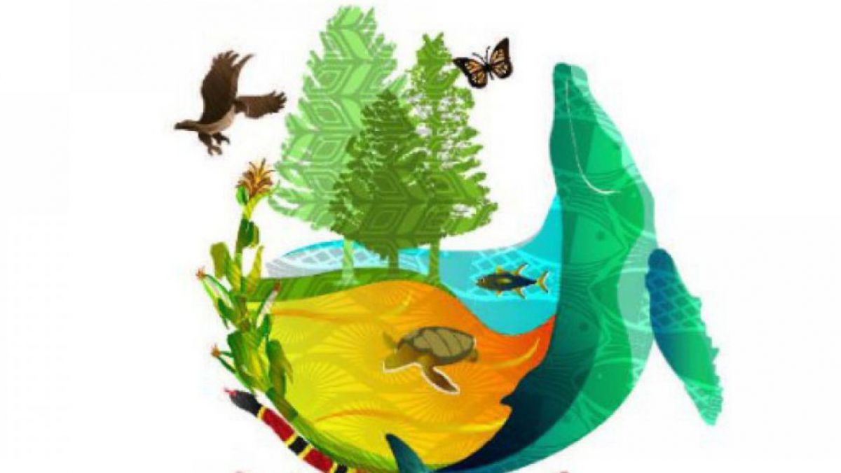 LOGO COP13 INGLES