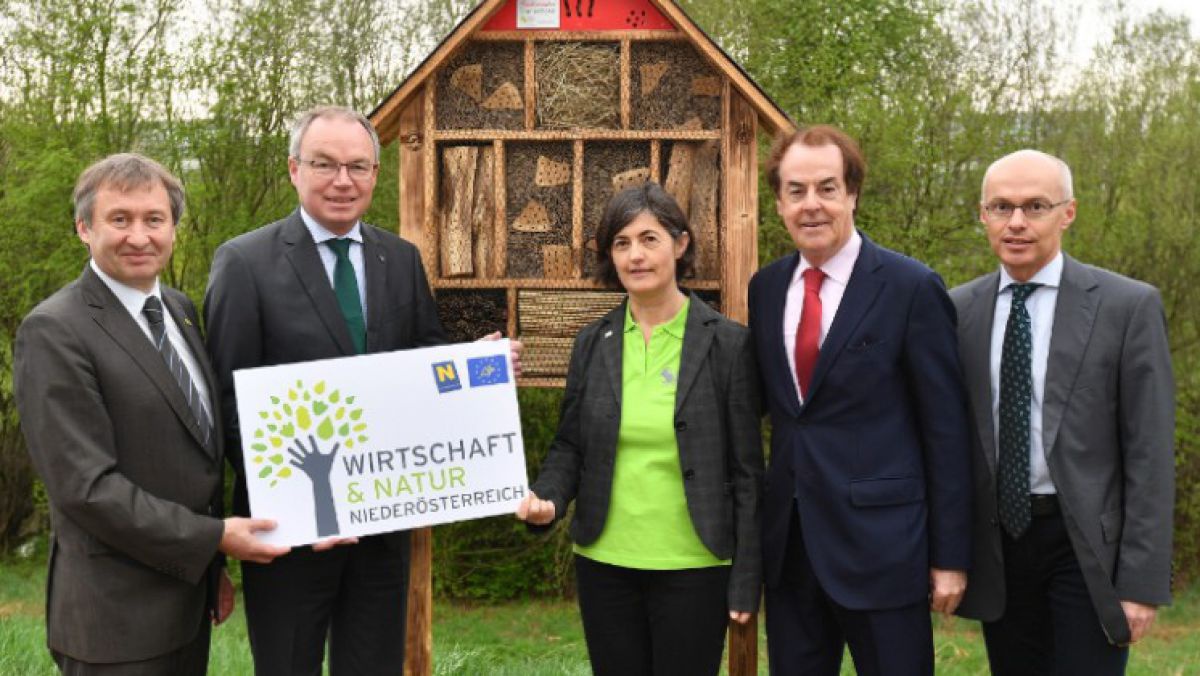 Projektpartner Saubermacher stellt Nützlingshotel vor