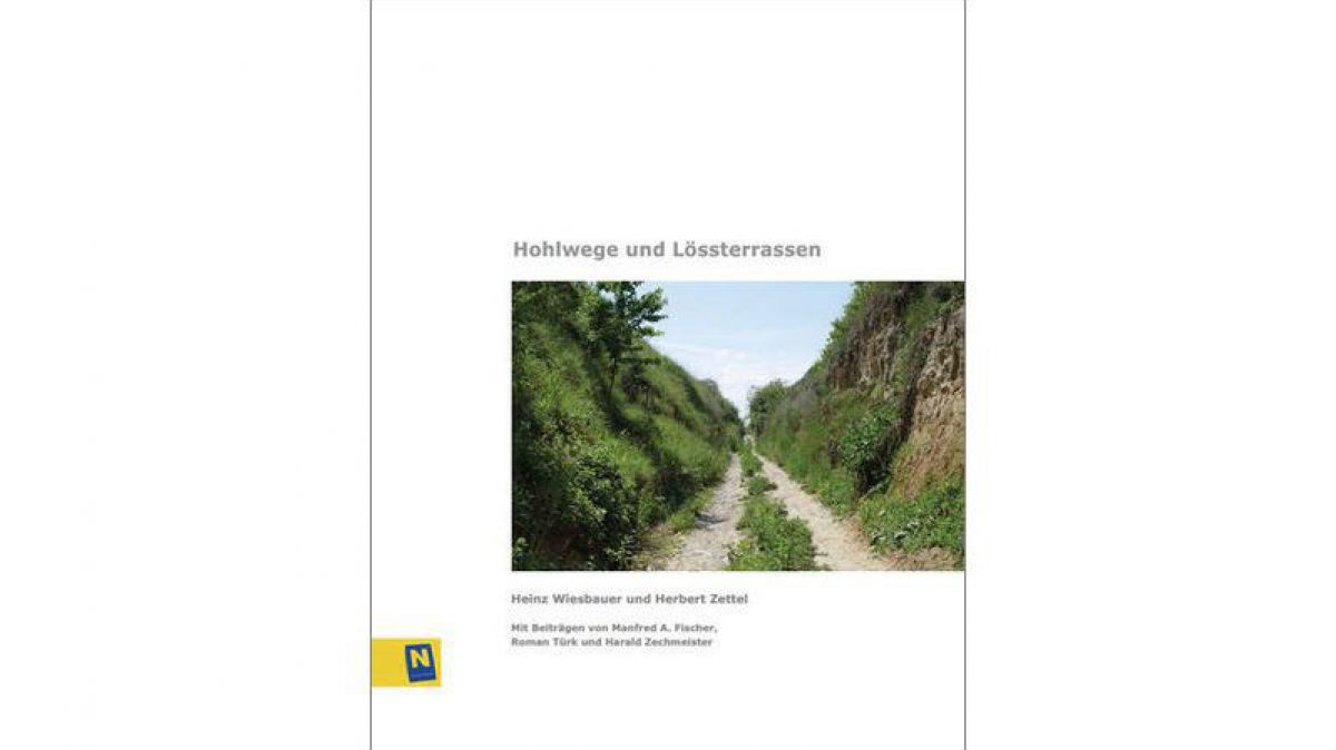 Hohlwege und Lössterrassen in Niederösterreich 