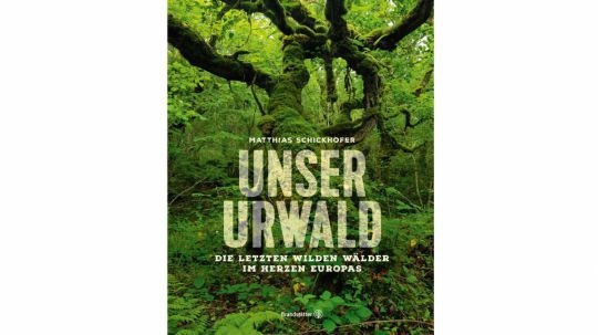 Das Buch zeigt die letzten wilden Wälder im Herzen Europas. 
