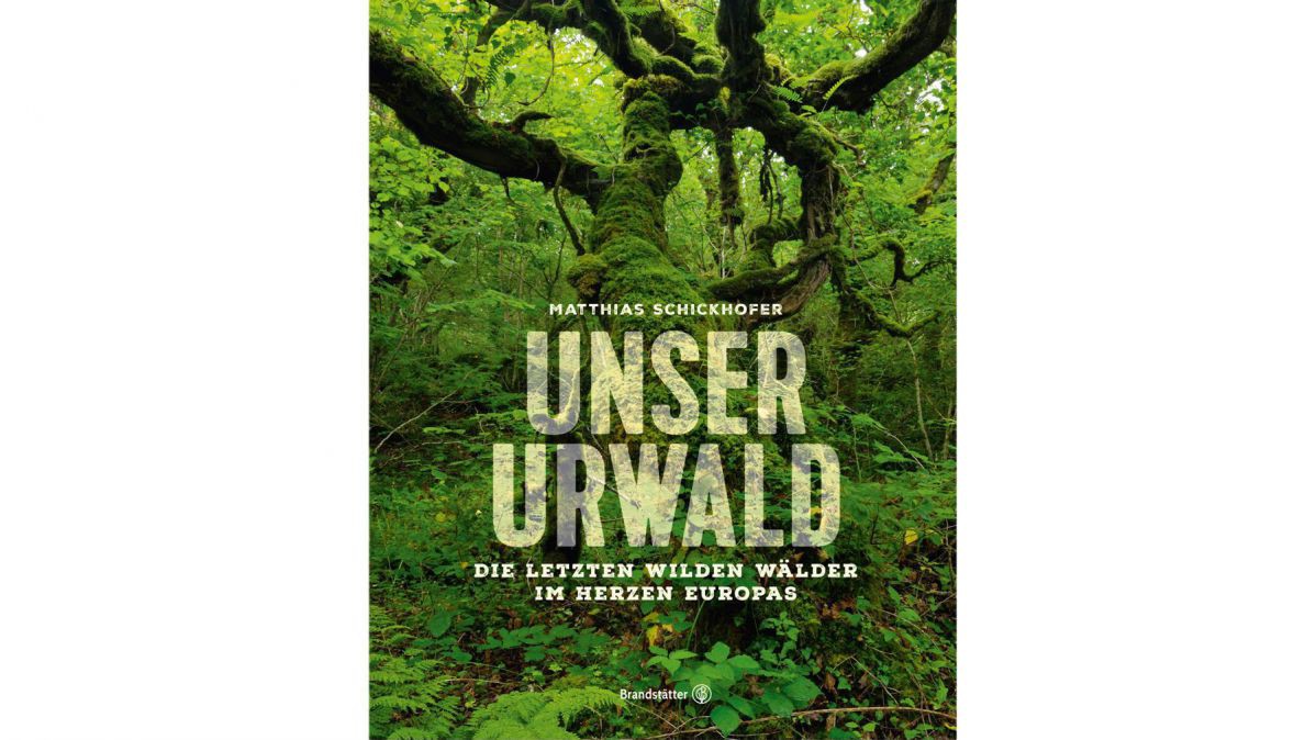 Das Buch zeigt die letzten wilden Wälder im Herzen Europas. 