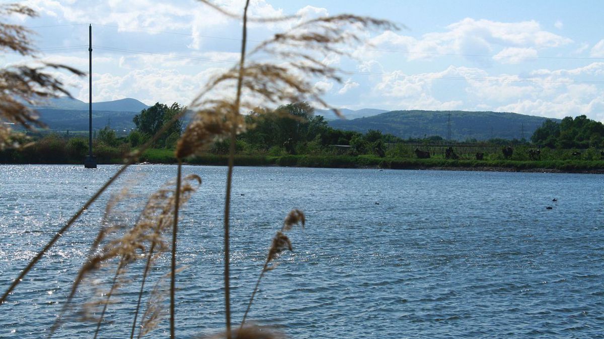 Schönauer Teich
