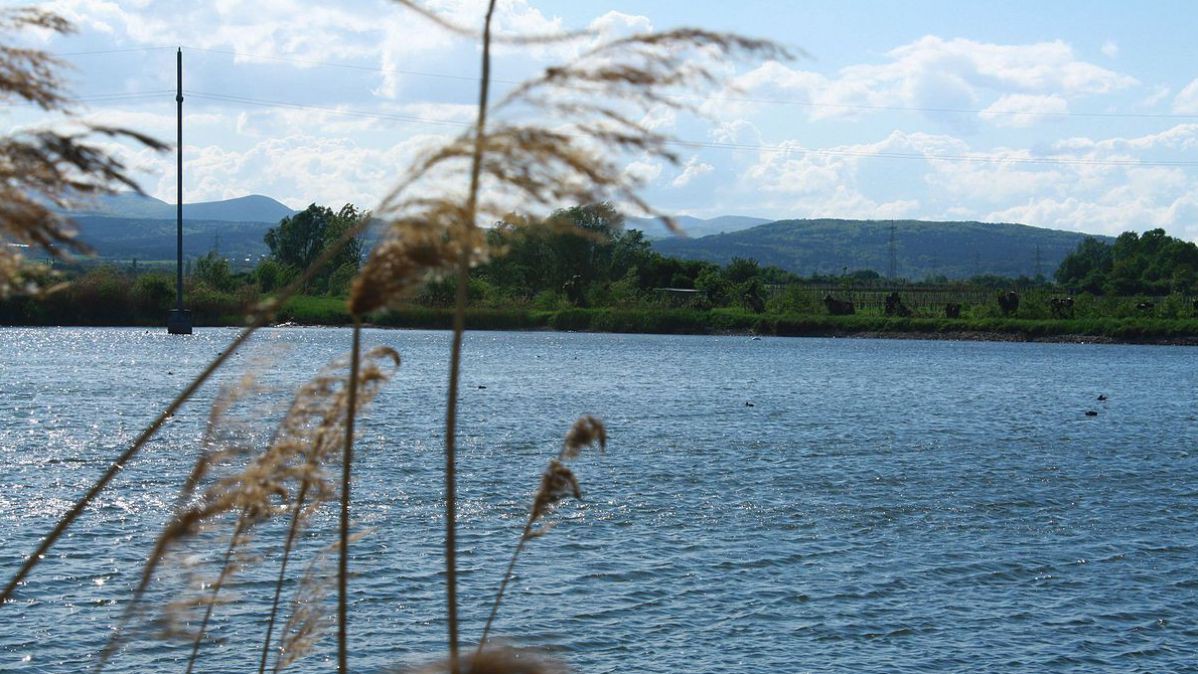 Schönauer Teich