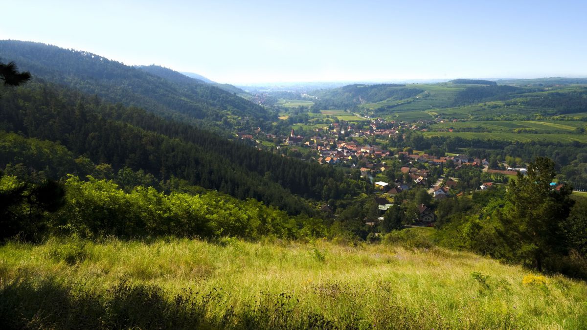Kamp
