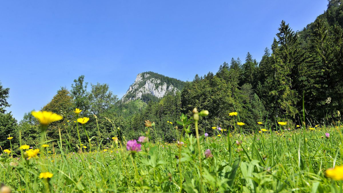 Naturpark Falkenstein- Schwarzau im Gebirge