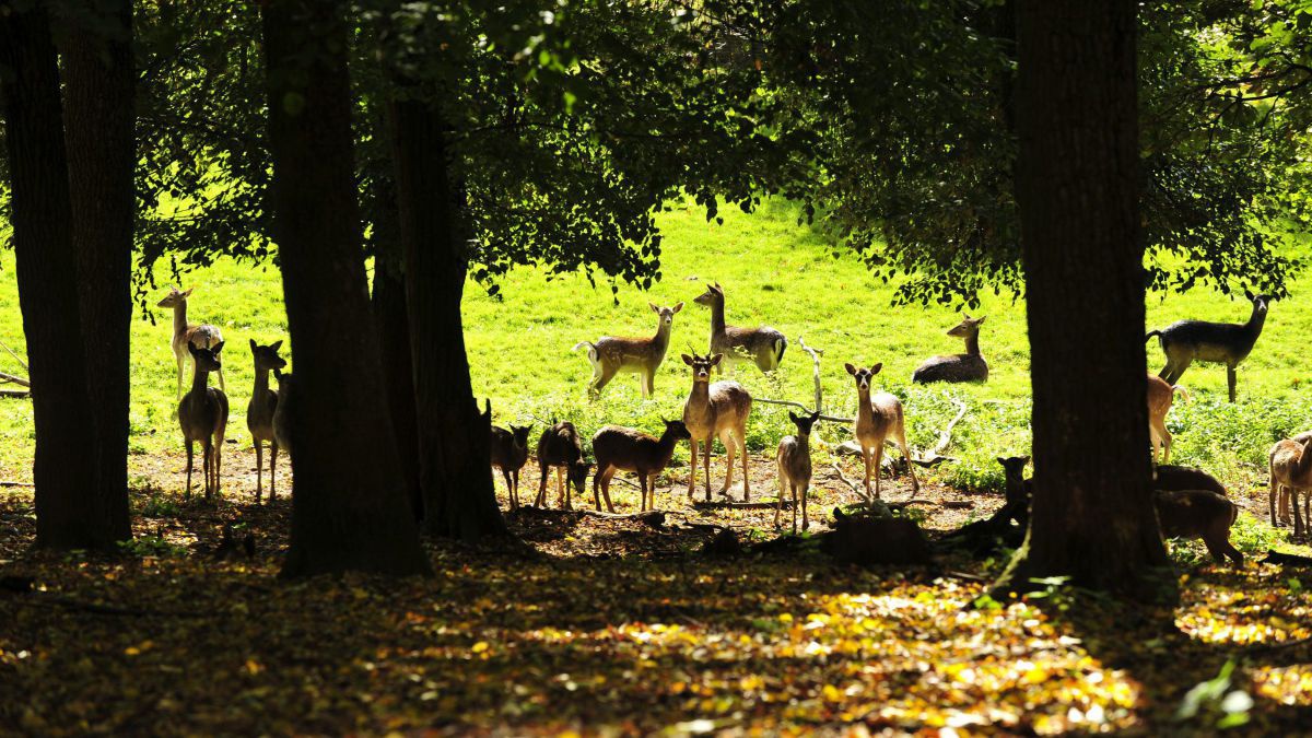 Naturpark Geras