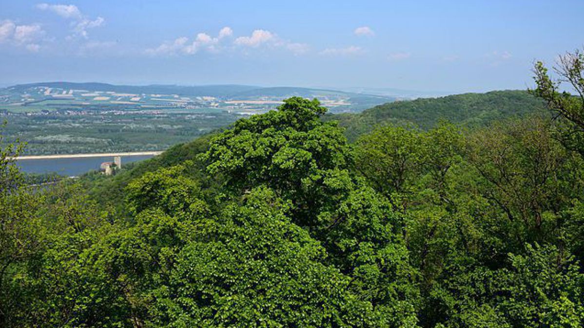 Naturschutzgebiet Altenberg