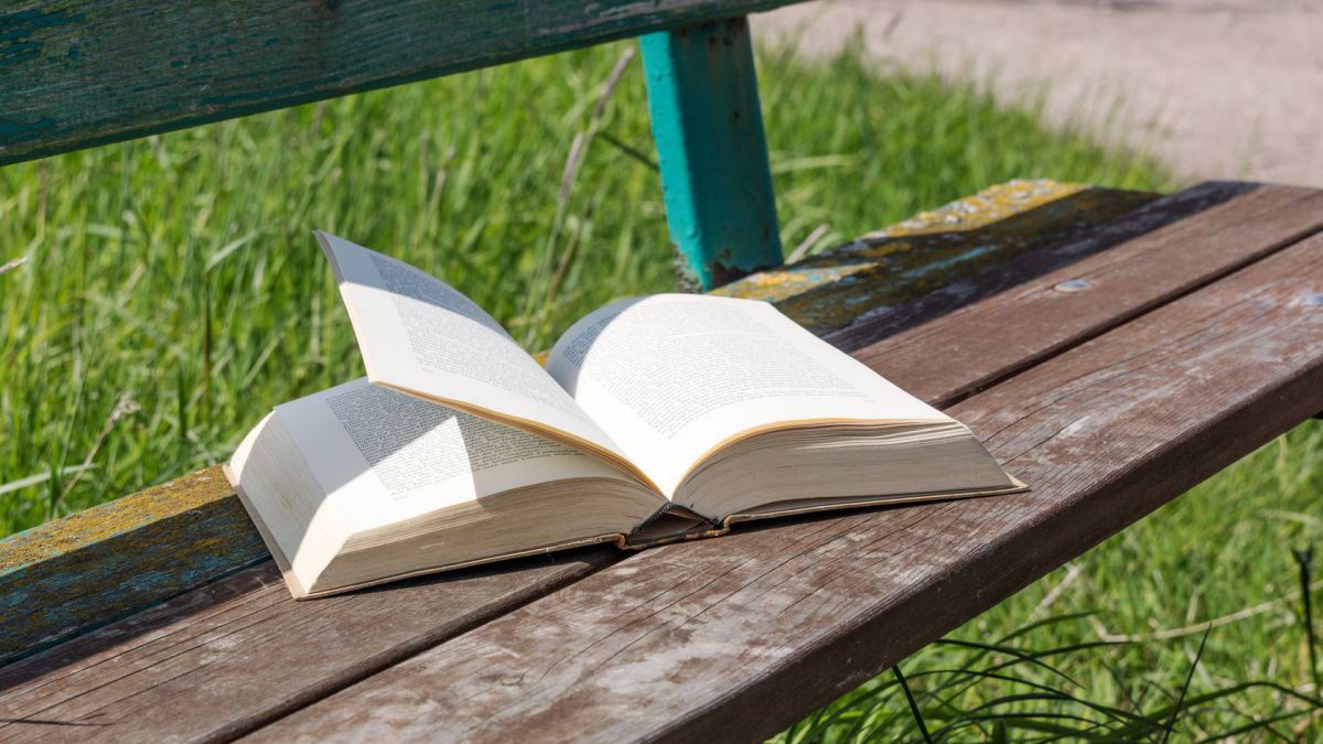 Buch auf Parkbank