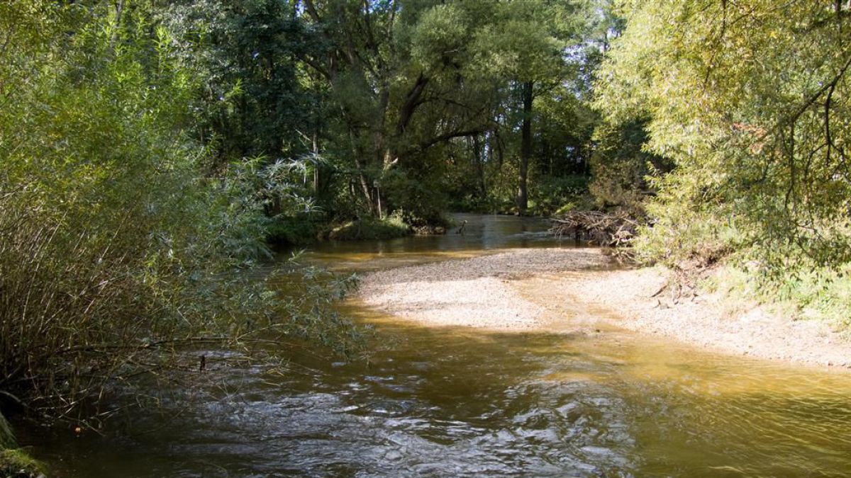 Aulandschaft