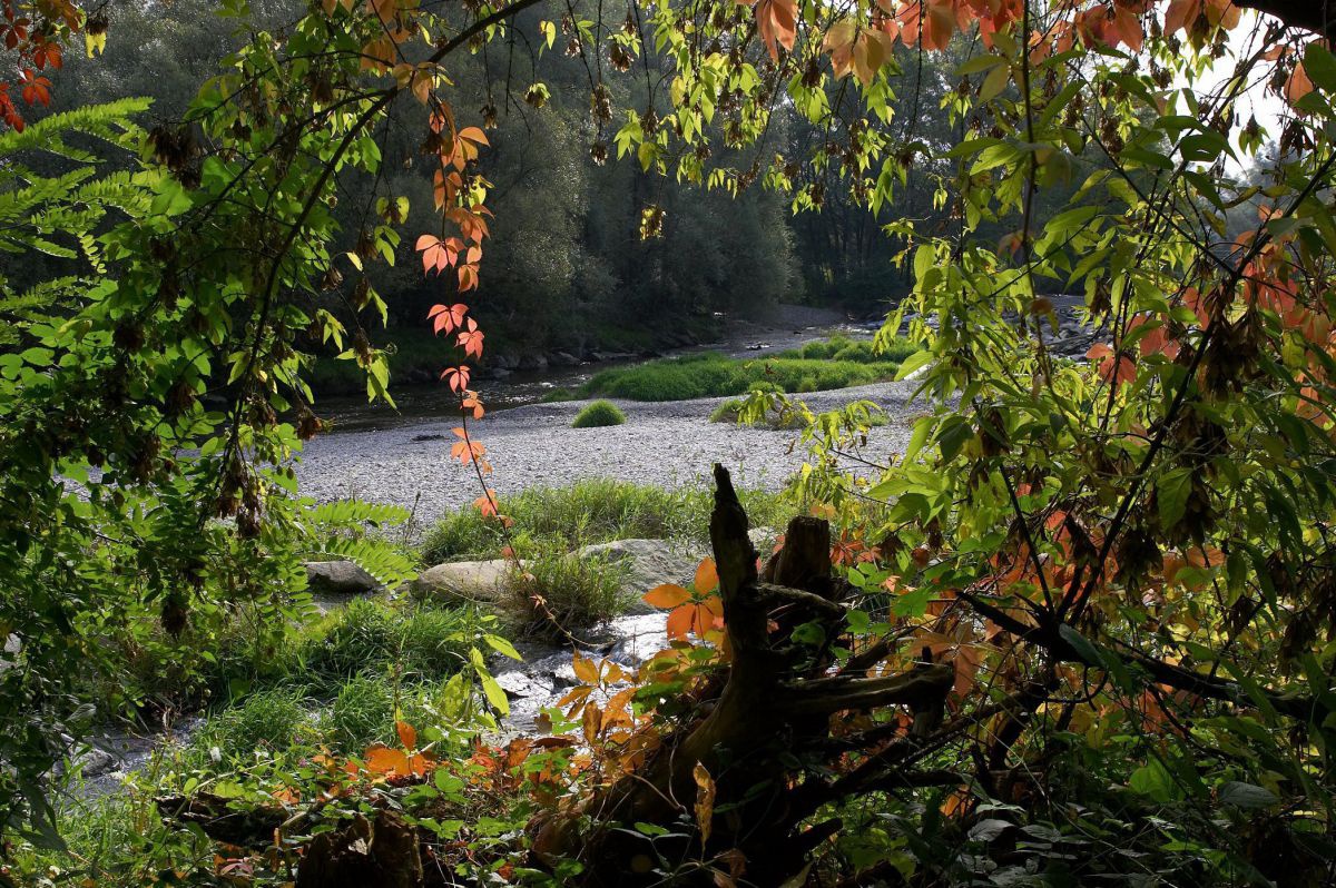 Blick in die Natur.