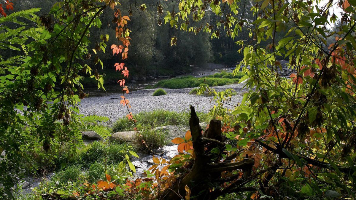 Blick in die Natur.