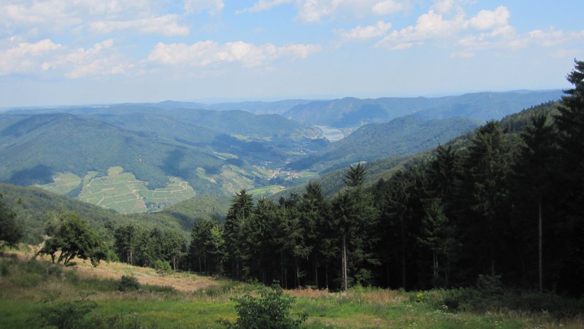 Der Naturpark Jauerling-Wachau wurde 1972 gegründet. 