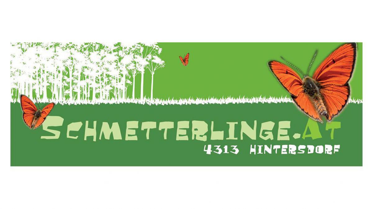 Logo Schmetterlinge.at