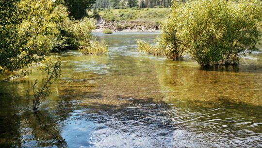 Ein naturnaher Flusslauf spiel eine wichtige Rolle für die Artenvielfalt.