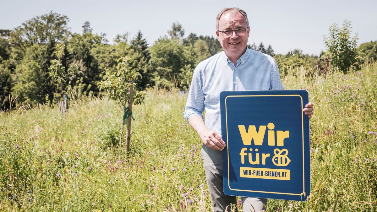 Wir für Bienen
