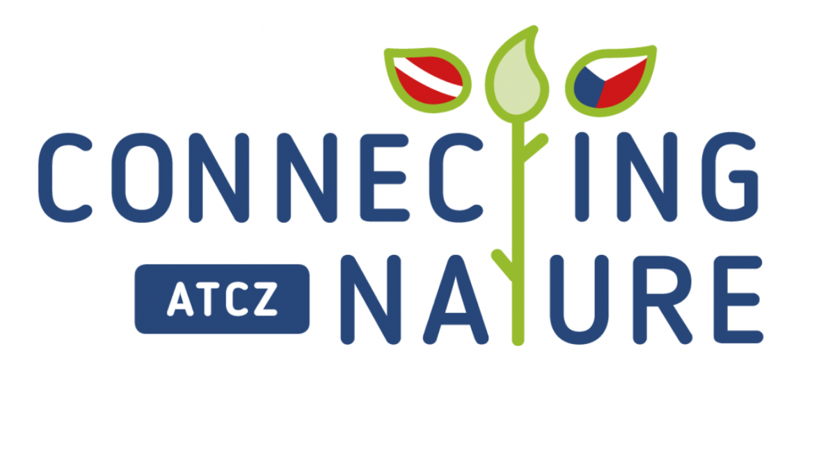 logo-connat-web