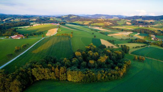 Landschaft im Mostviertel mit landwirtschaftlichen Flächen und Wald.