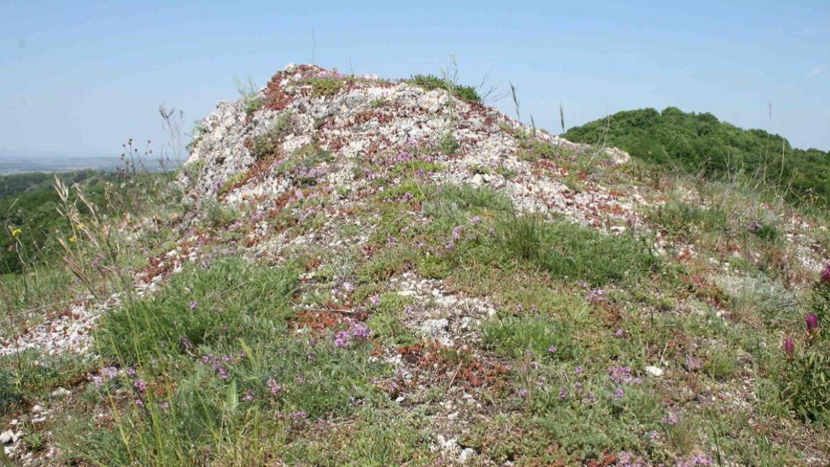 Klippenzone