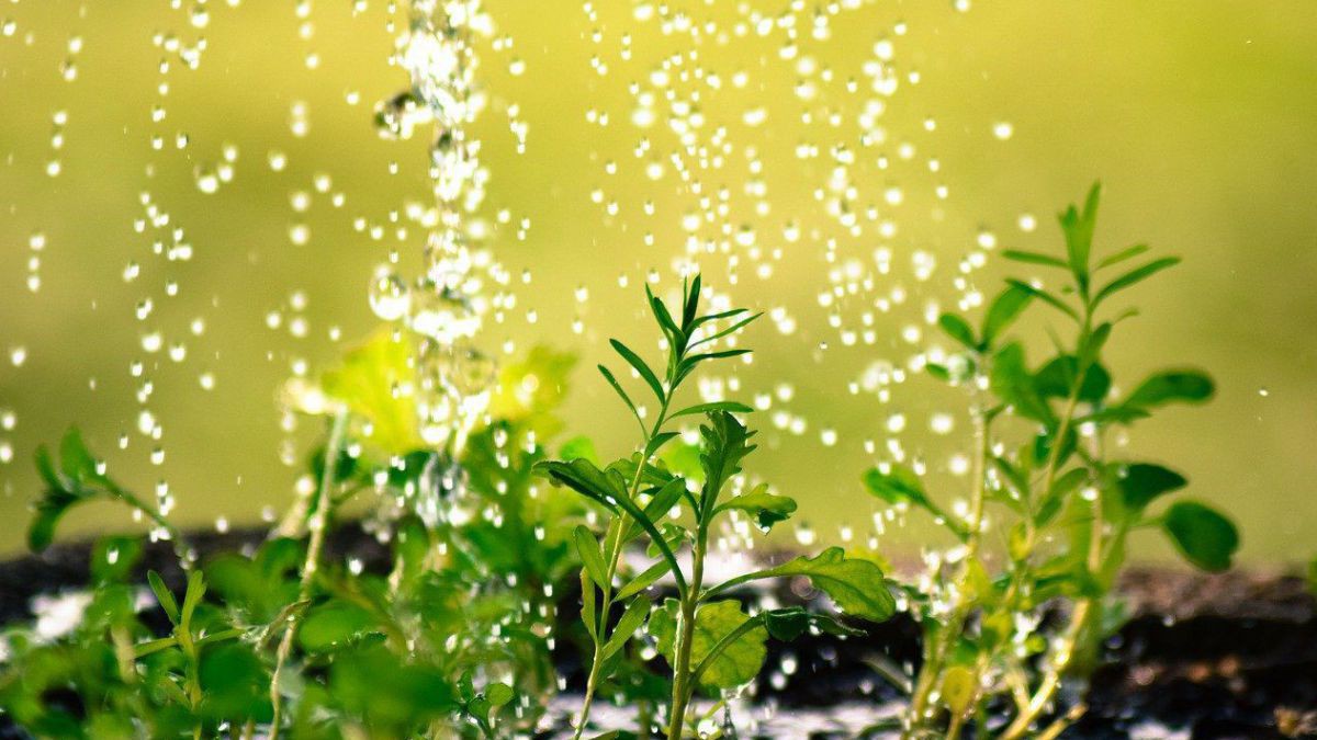 Wassertropfen