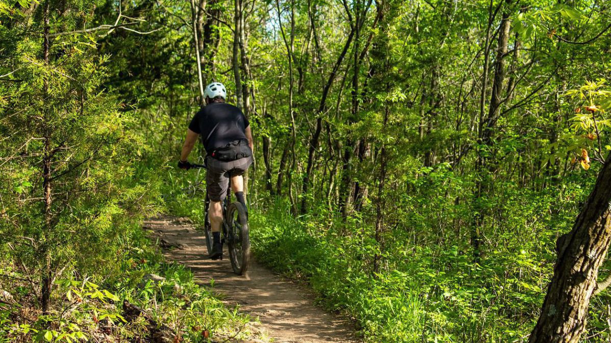 Radfahrer im wald