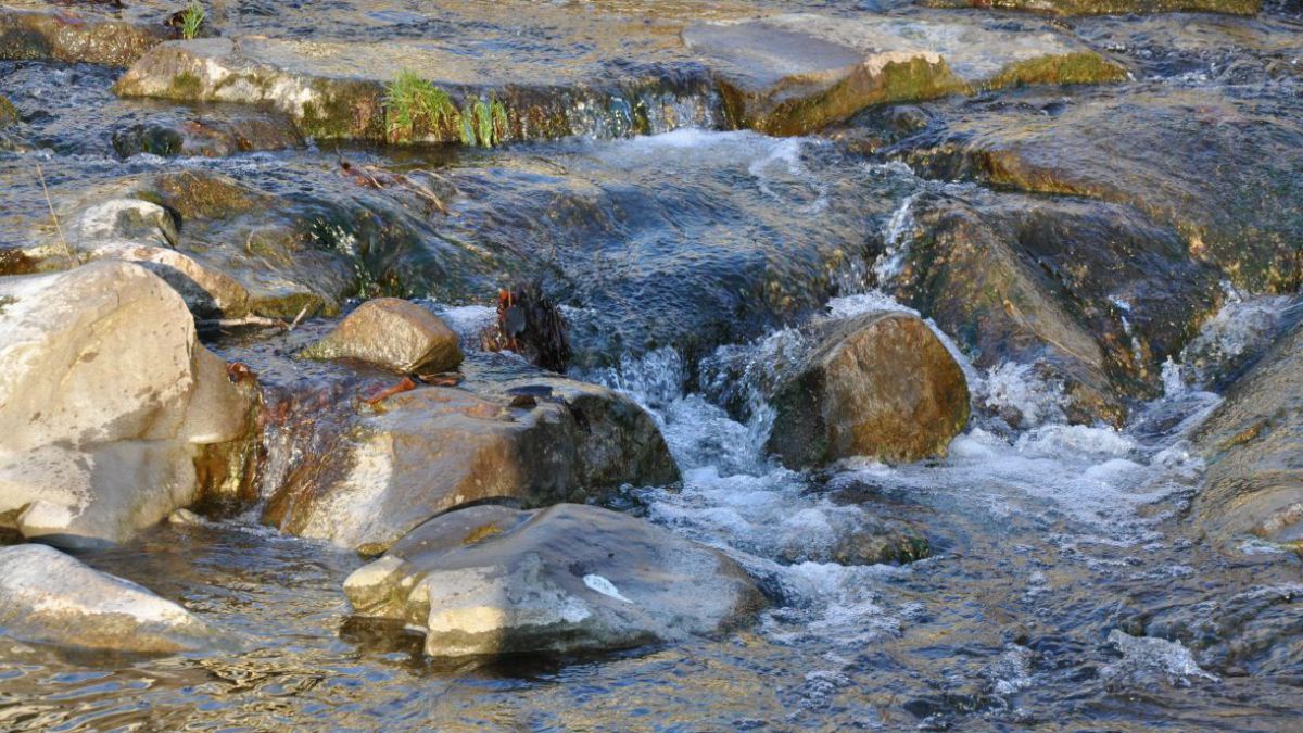 wasser-2