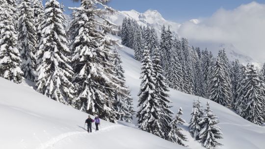 Skitourengeher im verschneiten Winterwald