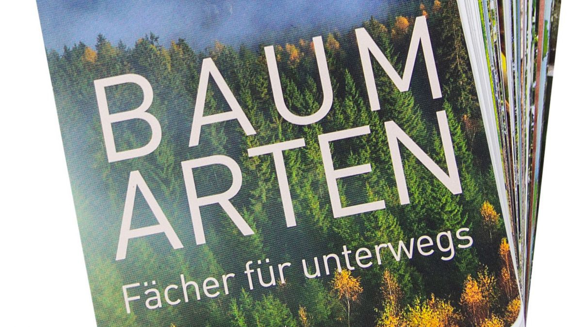 Baumarten-Fächer