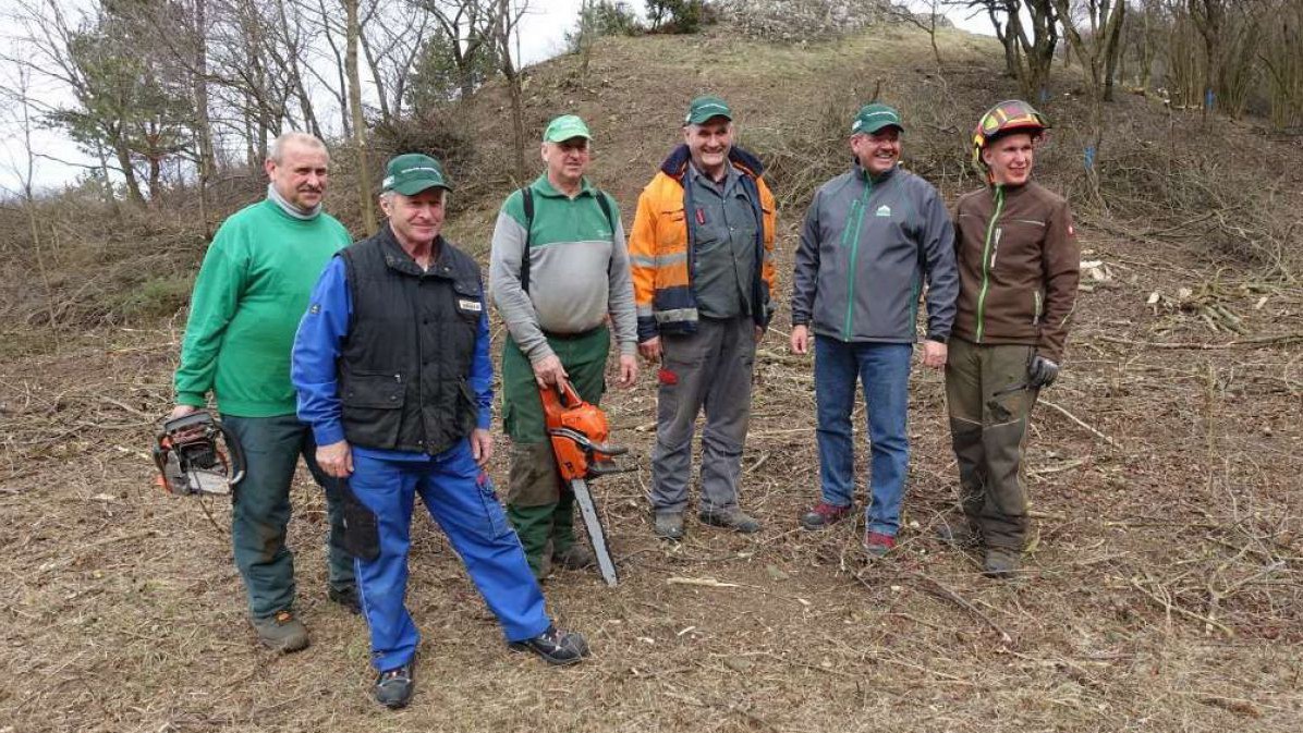 Freiwilligeneinsatz am Buschberg bei Gnadendorf