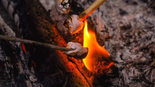Marshmallows im Feuer