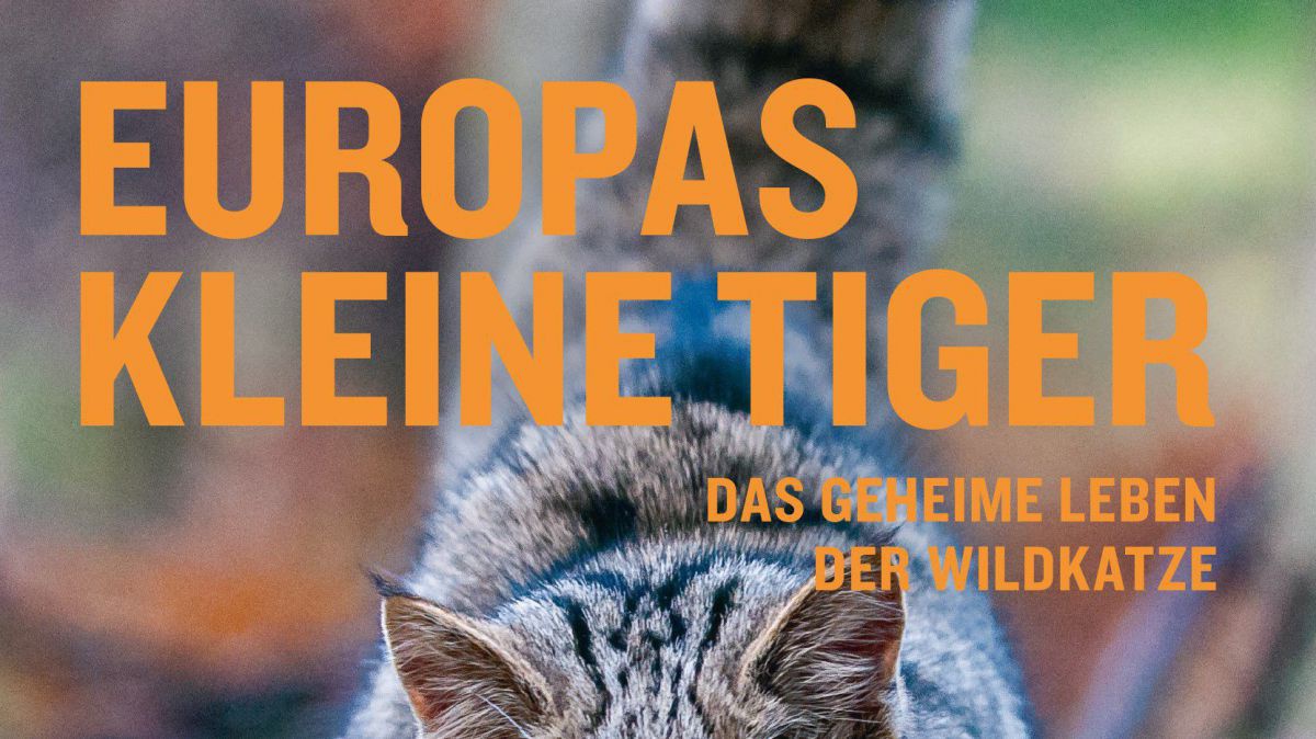 Cover Europas kleine Tiger