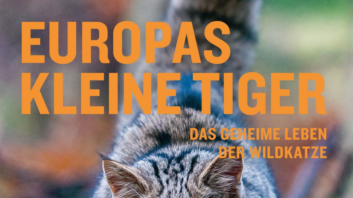 Cover Europas kleine Tiger