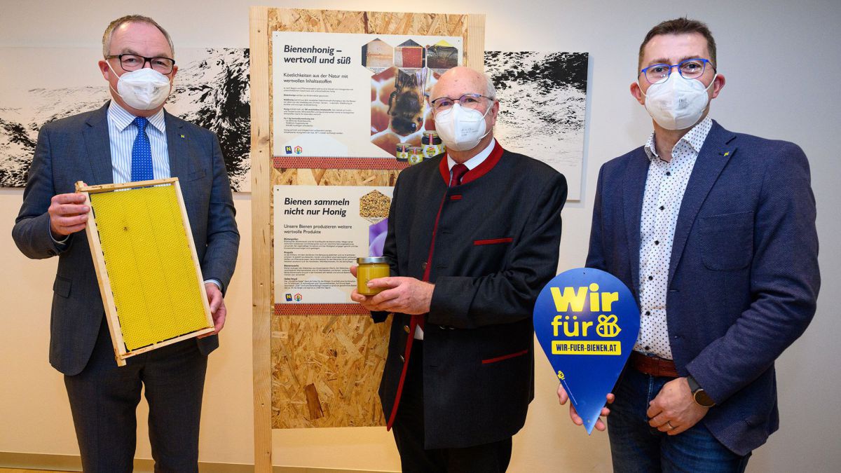 Foto v.l.: LH-Stv. Stephan Pernkopf, Josef Niklas (Präsident des NÖ Imkerverbandes) und Imker Leopold Schalhas
Bildreche: NLK Burchhart