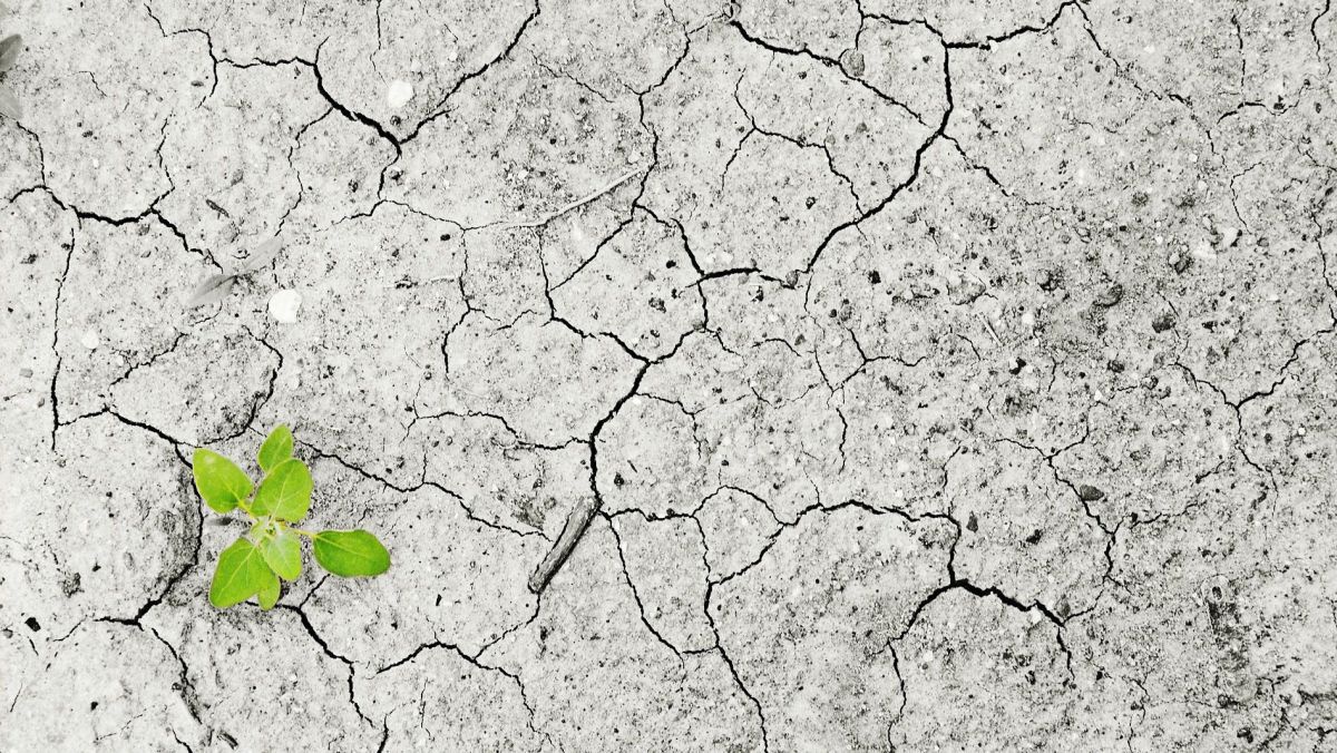 boden-und-klimawandel-c-pixabay