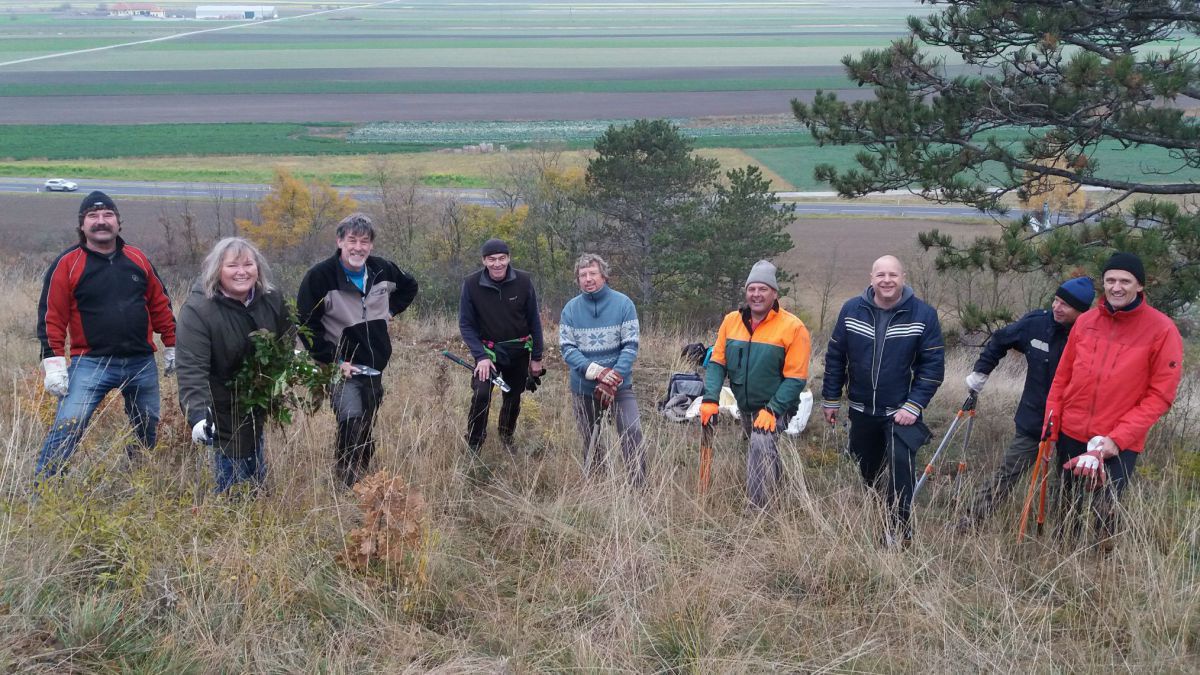 8 Personen stehen auf einer Wiese im Herbst, einige davon mit Astscheren.